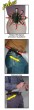 Nite Ize Holster Plus f�r AA - drehbar