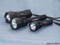 Wolf-Eyes Pilot Whale bis 1000 Lumen 6-fach LED

  