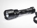Wolf-Eyes EPEE-I mit SST-50 LED
  